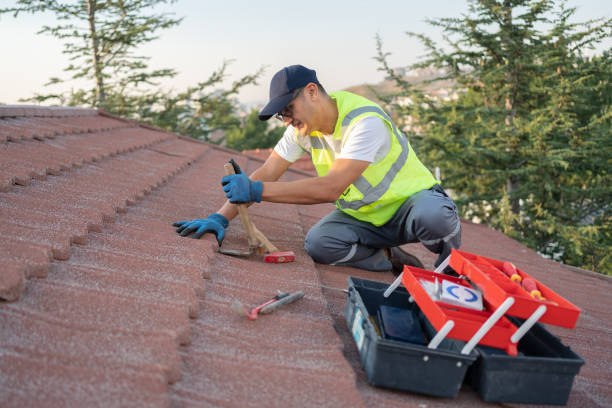 Best Roof Gutter Cleaning  in Woodsboro, TX